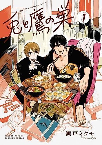 Cover image for The Rabbit and the Hawk's Nest