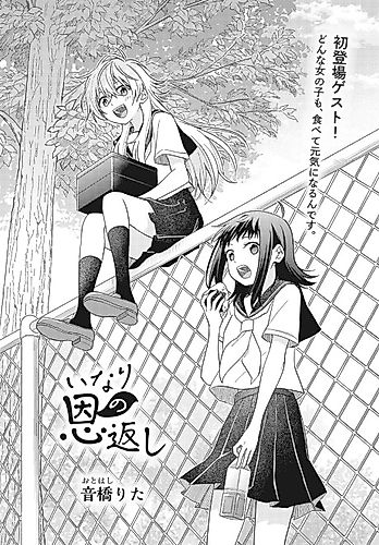 Cover image for The Fox Returns