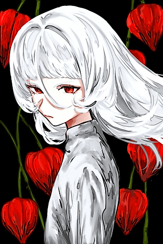 Cover image for Akatsuki no Kamigakushi