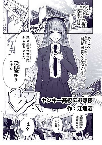 Cover image for A Story About a Young Lady Transferring to a Delinquent High School