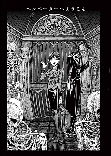 Cover image for Welcome to Hellevator