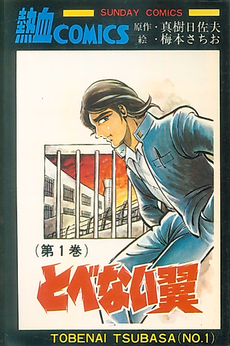 Cover image for Wings that don't Fly