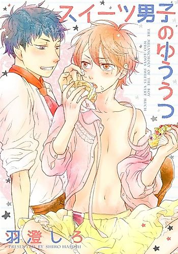 Cover image for The Melancholy of the Closet Sweet Tooth