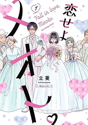Cover image for Fall in Love, Meoto.