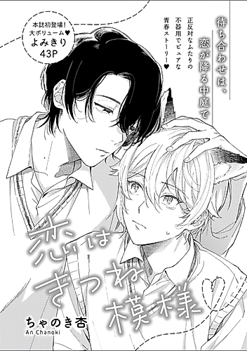 Cover image for Love is a Cat Pattern