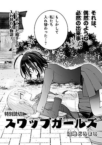 Cover image for Swap Girls
