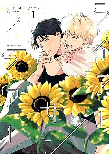 Cover image for Liar Sunflower