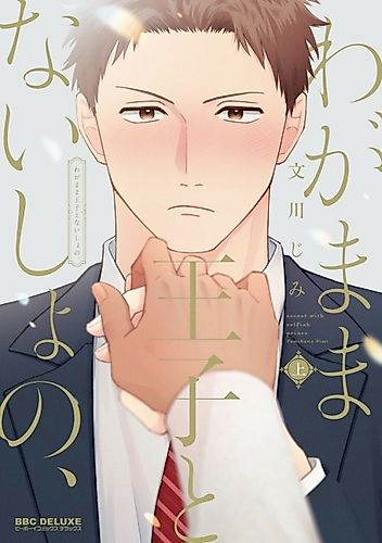 Cover image for Secret with Selfish Prince