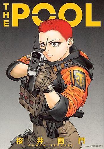 Cover image for The POOL