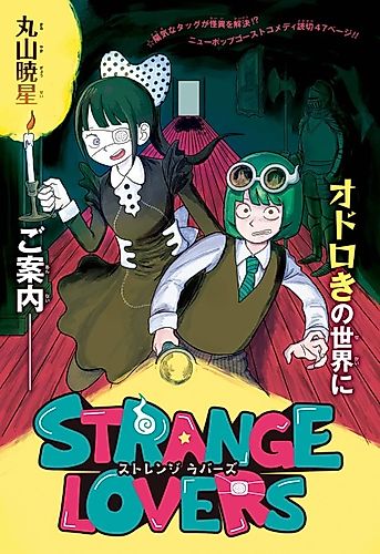 Cover image for STRANGE LOVERS