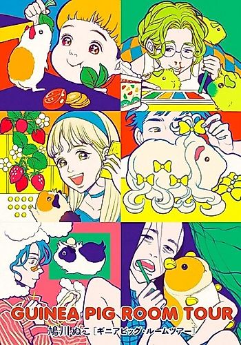 Cover image for GUINEA PIG ROOM TOUR