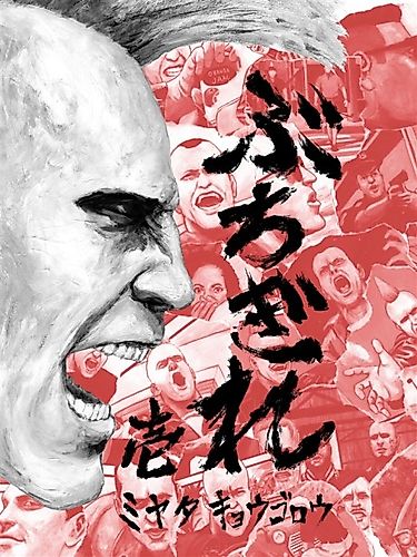 Cover image for Buchigire