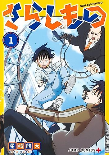Cover image for Fool