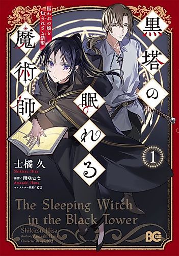 Cover image for The Sleeping Witch in the Black Tower