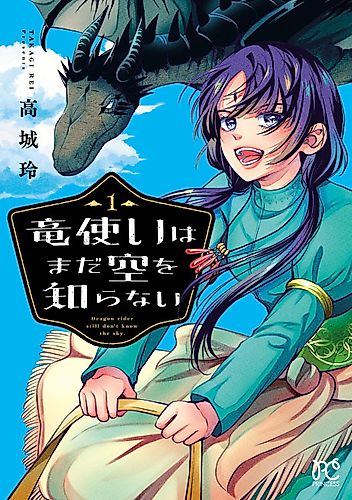 Cover image for Dragon Rider Still Don't Know the Sky.