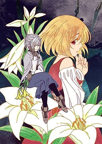 Cover image for Sophia in the n-dimension