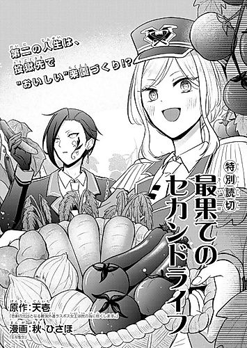 Cover image for Saihate no Second Life