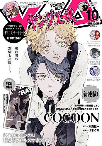 Cover image for COCOON