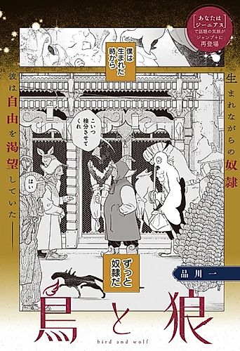 Cover image for Bird and Wolf