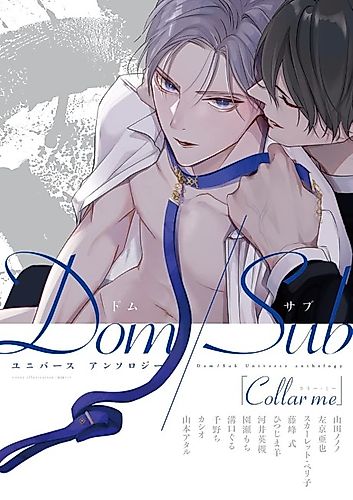 Cover image for Collar me Dom/Sub Universe Anthology