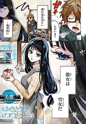Cover image for Yukidoke no Hito