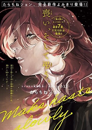 Cover image for Make haste slowly.