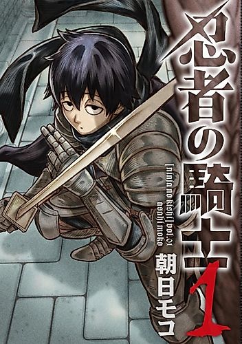 Cover image for The Ninja Knight