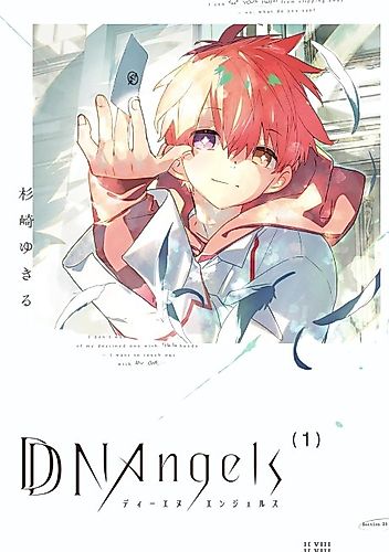 Cover image for DDNAngels