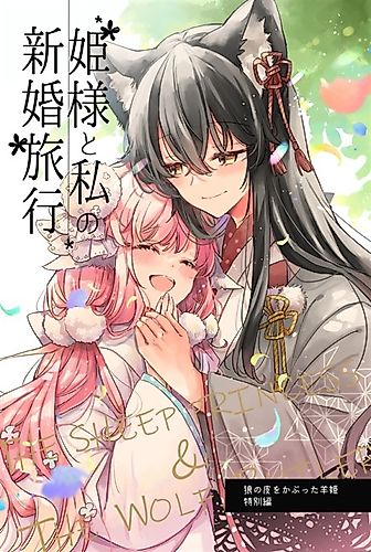 Cover image for My Honeymoon With the Princess