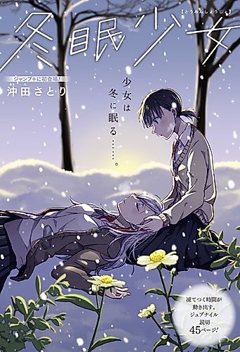 Cover image for The Girl Who Hibernates