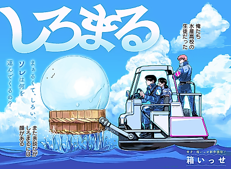 Cover image for SHIROMARU