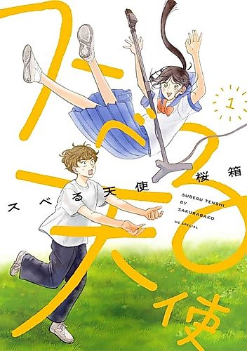 Cover image for Slippery Angel