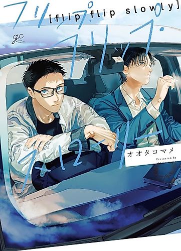 Cover image for Flip Flip Slowly