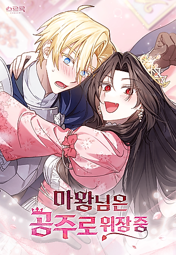 Cover image for The Deviless's Impression of a Princess