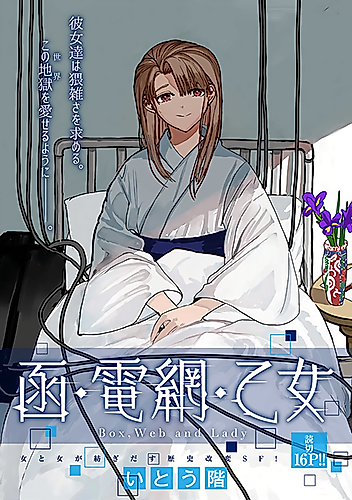 Cover image for Box, Web and Lady