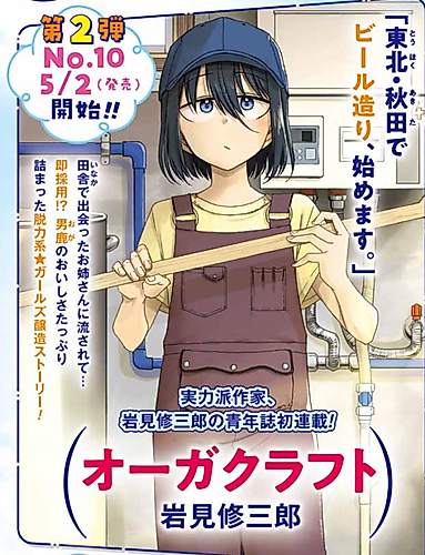 Cover image for Oga Craft