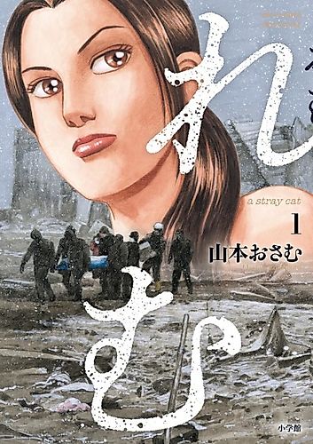 Cover image for Remu a stray cat
