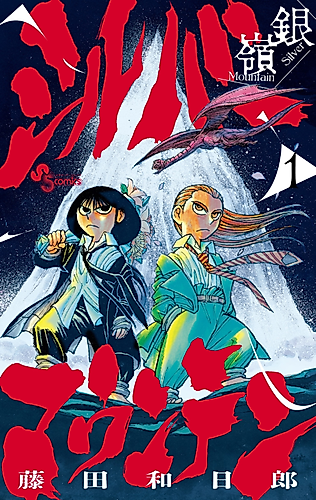 Cover image for Silver Mountain