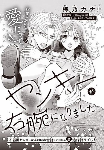 Cover image for Yankee ga Migiude ni Narimashita