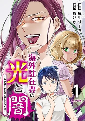 Cover image for Kaigai Chūzaizuma no Hikari to Yami