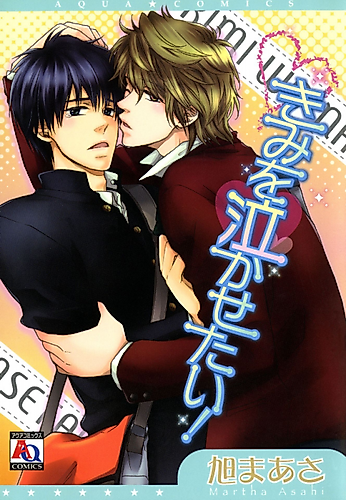 Cover image for I Want to Make You Cry!