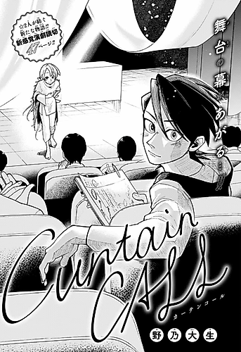 Cover image for Curtain Call