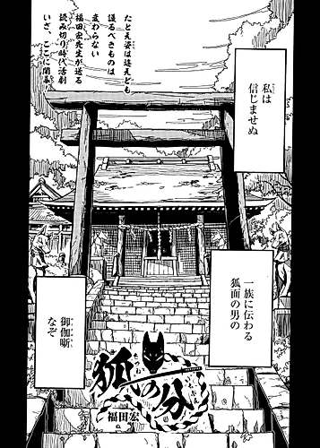 Cover image for The Fox's Duty