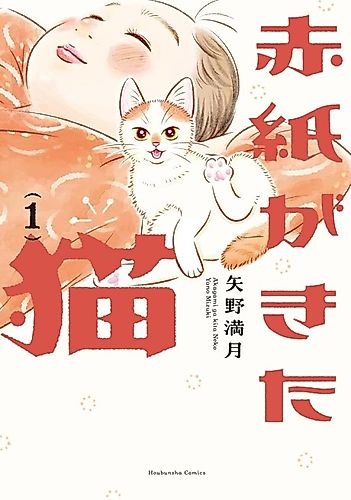 Cover image for A Cat's Draft Card