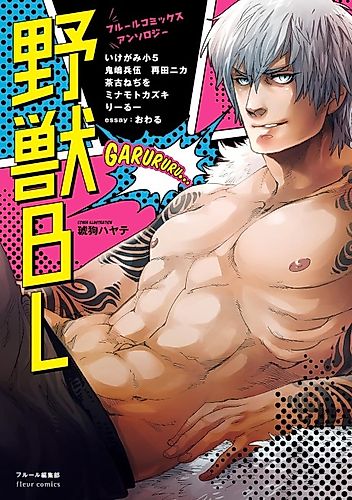 Cover image for Beast BL