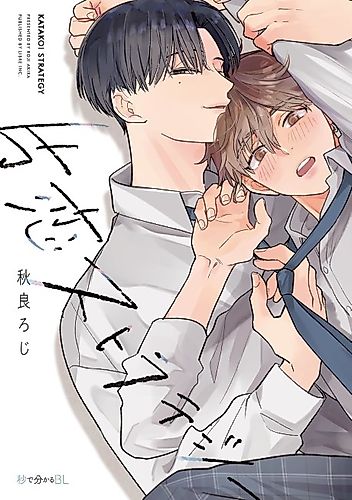 Cover image for Unrequited Love Strategy