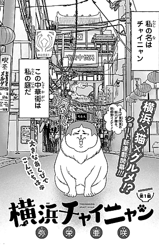Cover image for Yokohama Chai-nyan