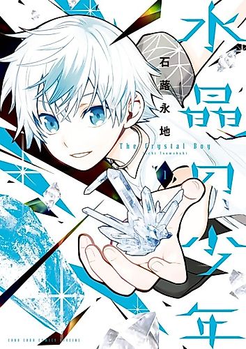 Cover image for The Crystal Boy