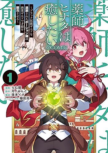 Cover image for Yakushi Hinata wa Iyashitai: Black Ijutsu Guild o Tsuihou Sareta Potion-shi wa Shougyou Guild de Sainou o Kaika Saseru @COMIC