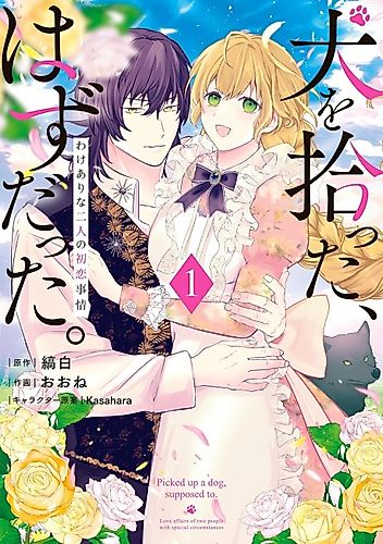 Cover image for Picked Up a Dog, Supposed To Love Affairs of Two People With Special Circumstances